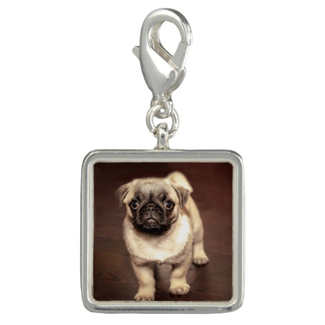 Lovely Puppy Pug, Dog, Pet, Animal Charm (Front)
