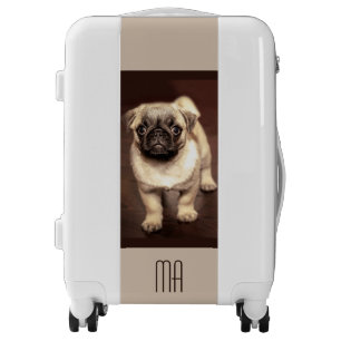 Lovely Puppy Pug, Dog, Pet, Animal Luggage