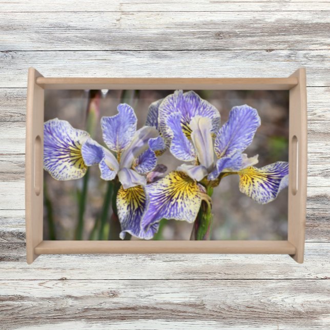 Lovely Purple Beardless Irises Floral Serving Tray (In Situ)