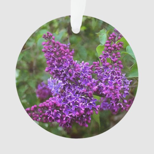 Lovely Purple Lilacs Ornament