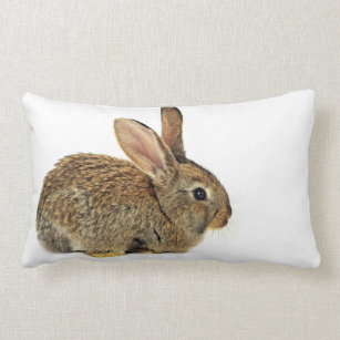 rabbit pillow pet