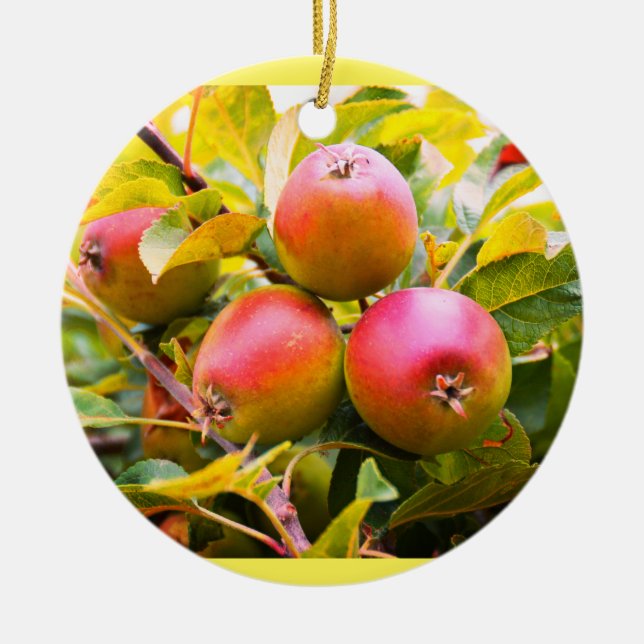 Lovely red apples ceramic ornament (Front)