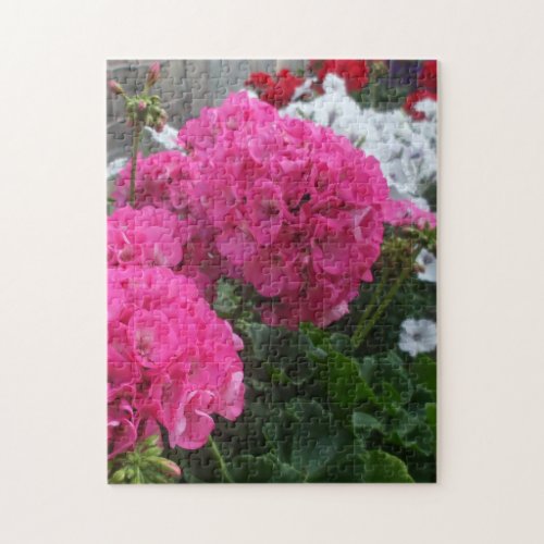 Lovely Red Geraniums Jigsaw Puzzle