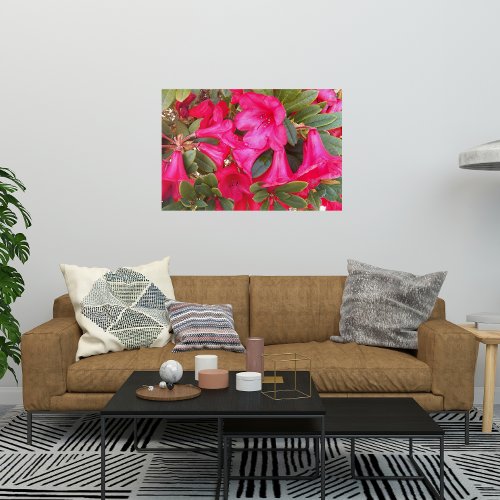 Lovely Red Rhododendrons Floral Photographic Acrylic Print