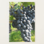 Lovely ripe grapes. planner<br><div class="desc">Taken at a local biological winery.</div>