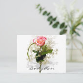 Lovely Rose Collection (Standing Front)