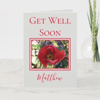 Lovely Rose Get Well Soon
