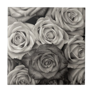 Lovely Roses Black and White Photo Tile