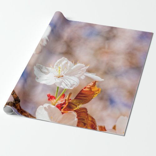 Lovely Sakura Flower On A Sunny Day Wrapping Paper