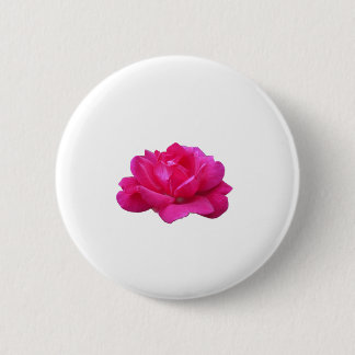 lovely single pink rose flower button