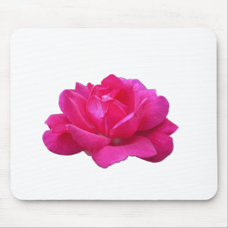 lovely single pink rose flower mouse pad