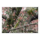 Lovely Spring Blank Card (Front Horizontal)