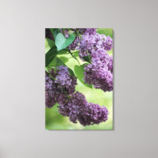 Lovely Spring Canvas Print