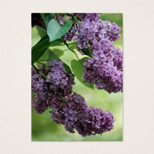 Lovely Spring Mini Print Business Card