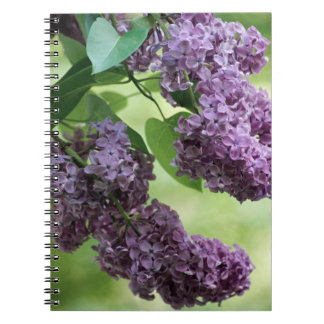 Lovely Spring Notebook