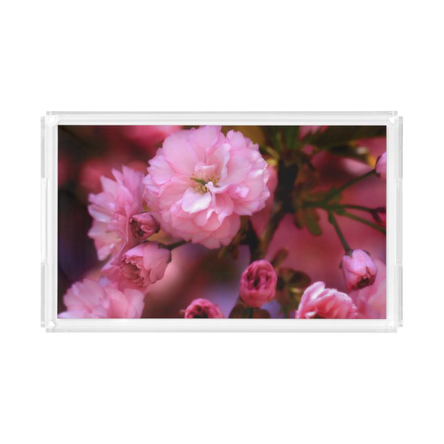 Lovely Spring Pink Cherry Blossoms Acrylic Tray (Front)