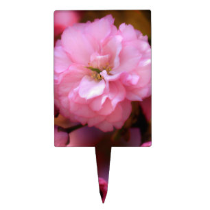 Lovely Spring Pink Cherry Blossoms Cake Topper