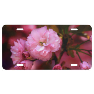 Lovely Spring Pink Cherry Blossoms License Plate