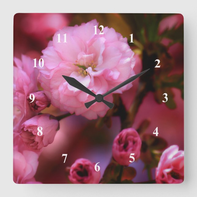 Lovely Spring Pink Cherry Blossoms Square Wall Clock (Front)