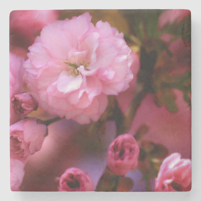 Lovely Spring Pink Cherry Blossoms Stone Coaster (Front)