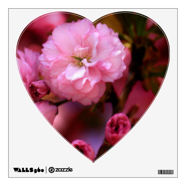Lovely Spring Pink Cherry Blossoms Wall Decal (Front)