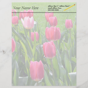 lovely spring pink tulip flowers. garden floral letterhead