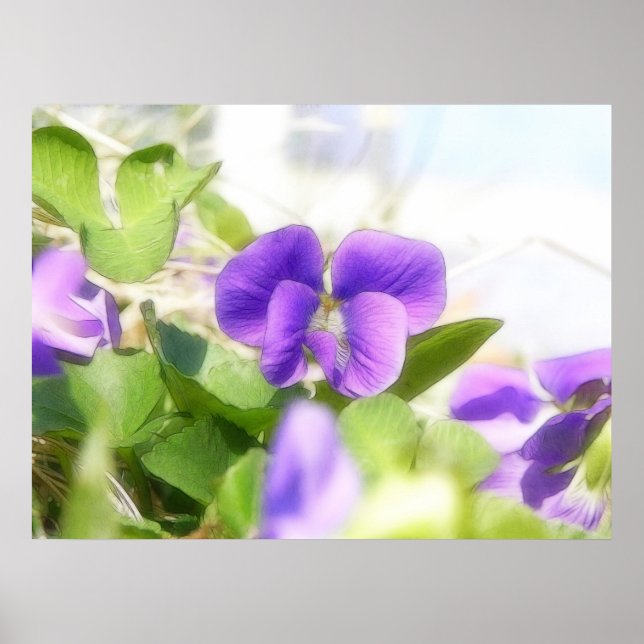 Lovely Spring Violet Poster (Front)