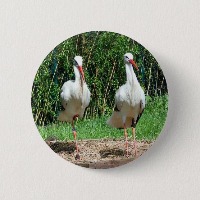 Lovely Stork Button (Front)