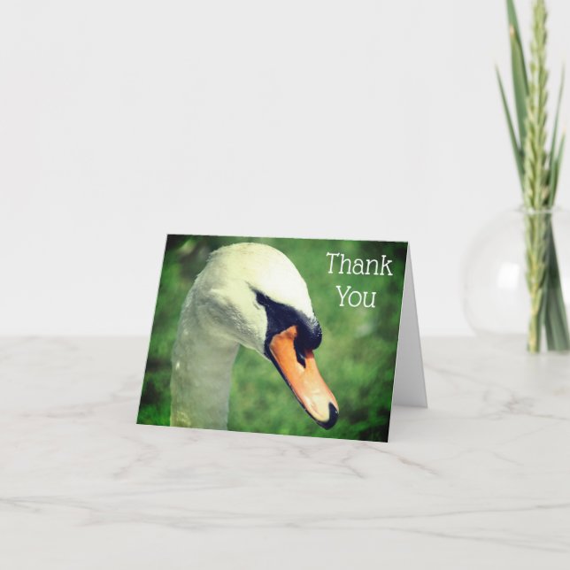Lovely Swan Nature Thank You Card (Front)