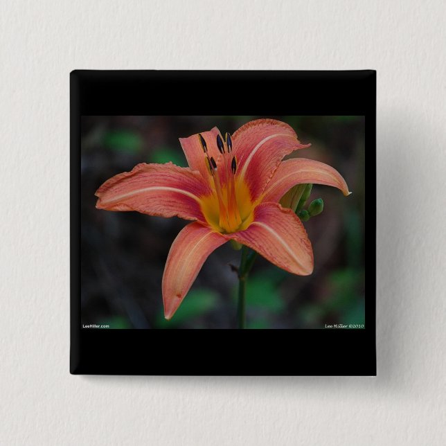 Lovely Tawny Daylily Apparel and Gifts Button (Front)