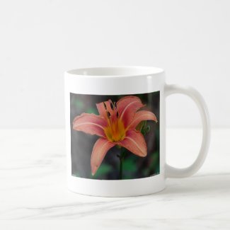 Lovely Tawny Daylily Apparel and Gifts Coffee Mug