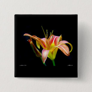 Lovely Tawny Daylily II Apparel and Gifts Button