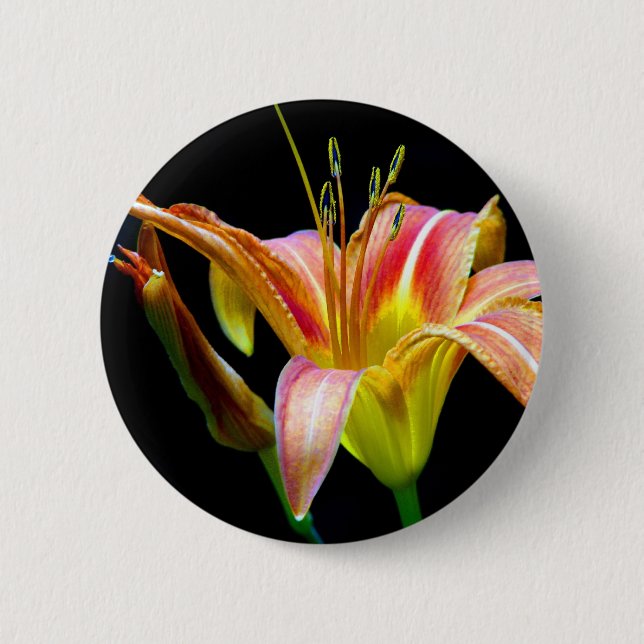 Lovely Tawny Daylily II Apparel and Gifts Pinback Button (Front)