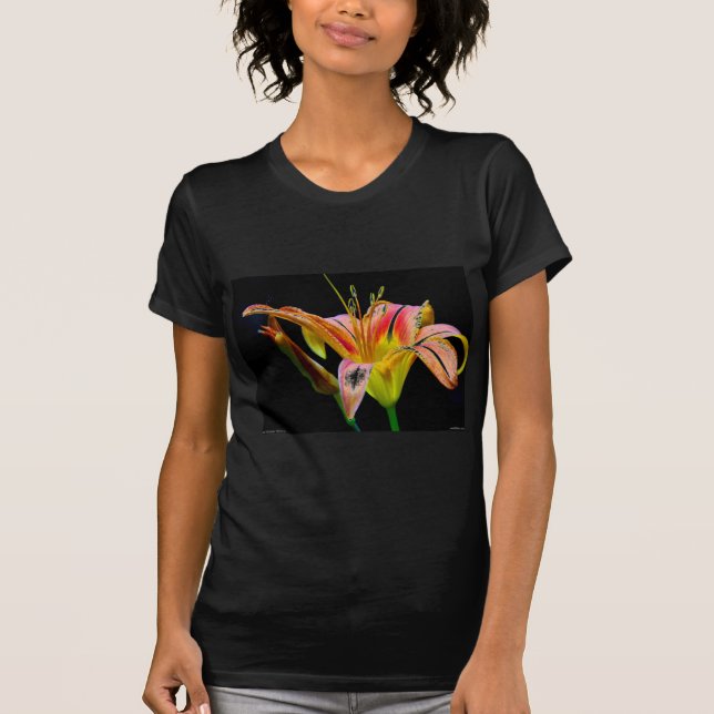Lovely Tawny Daylily II Apparel and Gifts T-Shirt (Front)