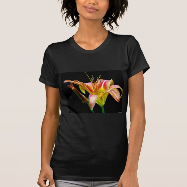 Lovely Tawny Daylily II Apparel and Gifts T-Shirt (Front)