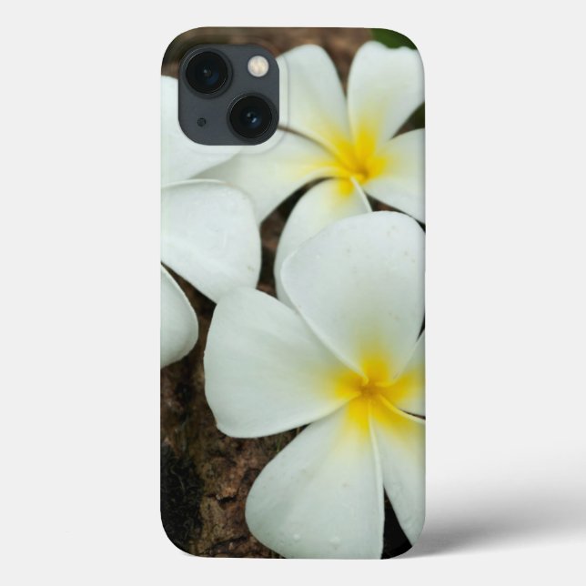 Lovely Tropical Blossoms In The South Pacific Case-Mate iPhone Case (Back)