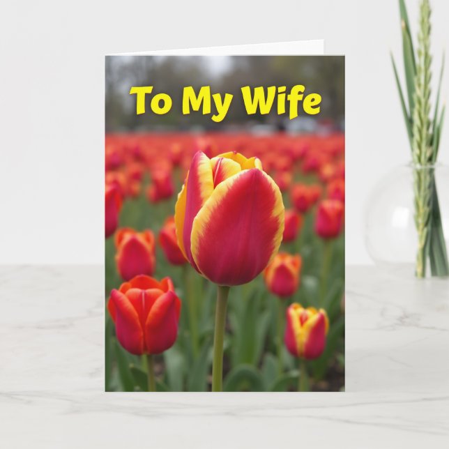 Lovely Tulip Flower Card (Front)