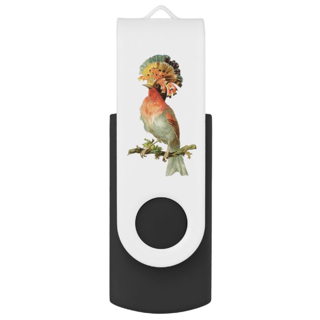 Lovely Vintage Bird Flash Drive (Front Vertical)