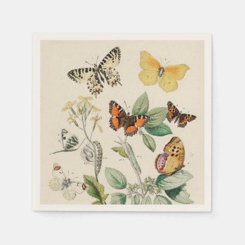 Lovely vintage illustration of butterflies napkins
