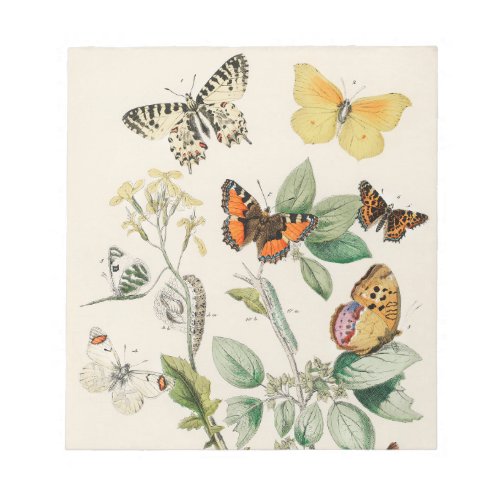 Lovely vintage illustration of butterflies notepad