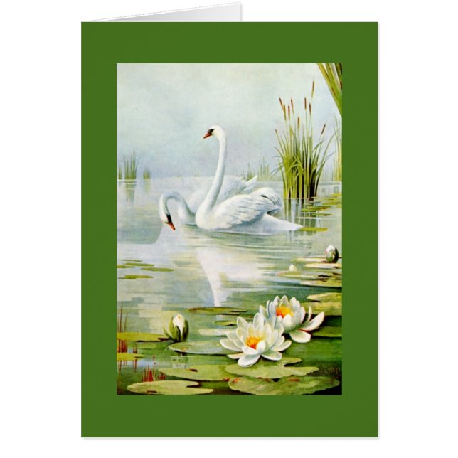 Lovely Vintage Swans Cards (Front)