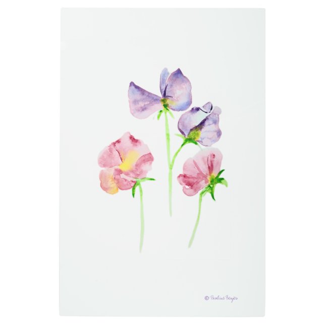 Lovely Watercolor Purple Pink Sweet Pea Flowers Metal Print (Front)