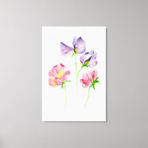 Lovely Watercolor Sweet Peas Pink Purple Canvas Print