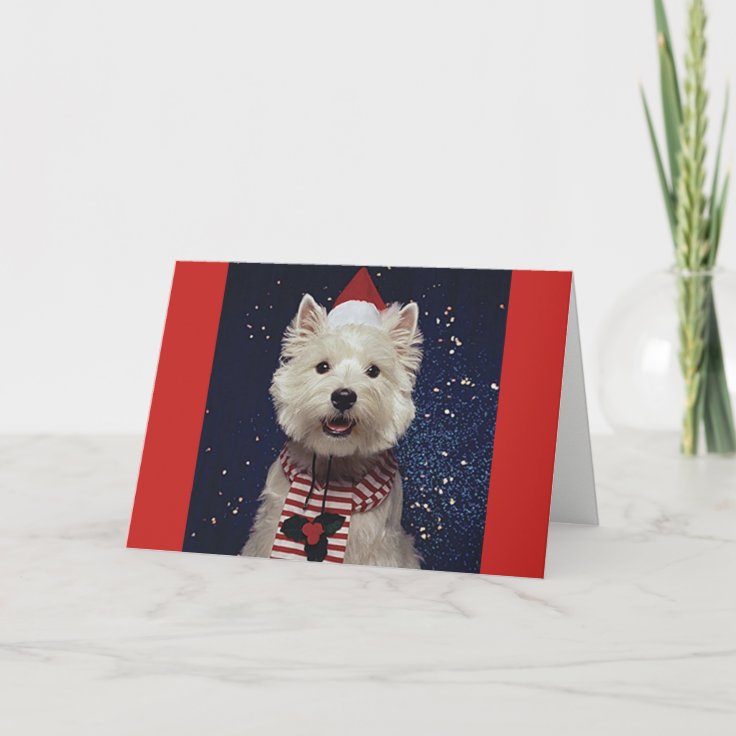 Lovely Westie Christmas Themed Card Zazzle