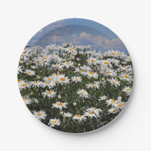 Lovely white daisy garden paper plates