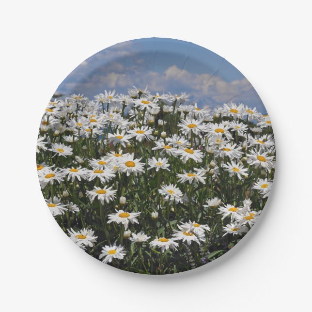 Lovely white daisy garden paper plates (Front)