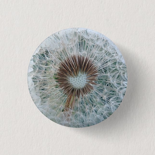Lovely White Dandelion Button (Front)