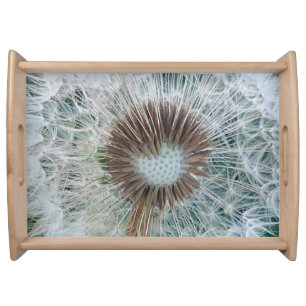 Lovely White Dandelion Serving Tray