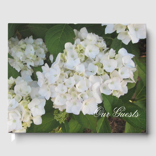 Lovely White Hydrangeas Guest Book (Front)