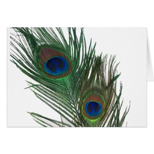 Lovely White Peacock Feather Cards (Front Horizontal)